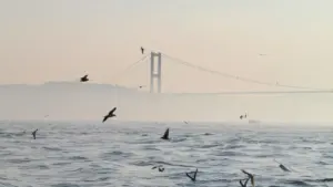 Praktičan vodič za oglašivače iz Crne Gore: kako locirati i angažovati Twitter kreatore iz Ekvadora za vloge sa real‑life događaja.