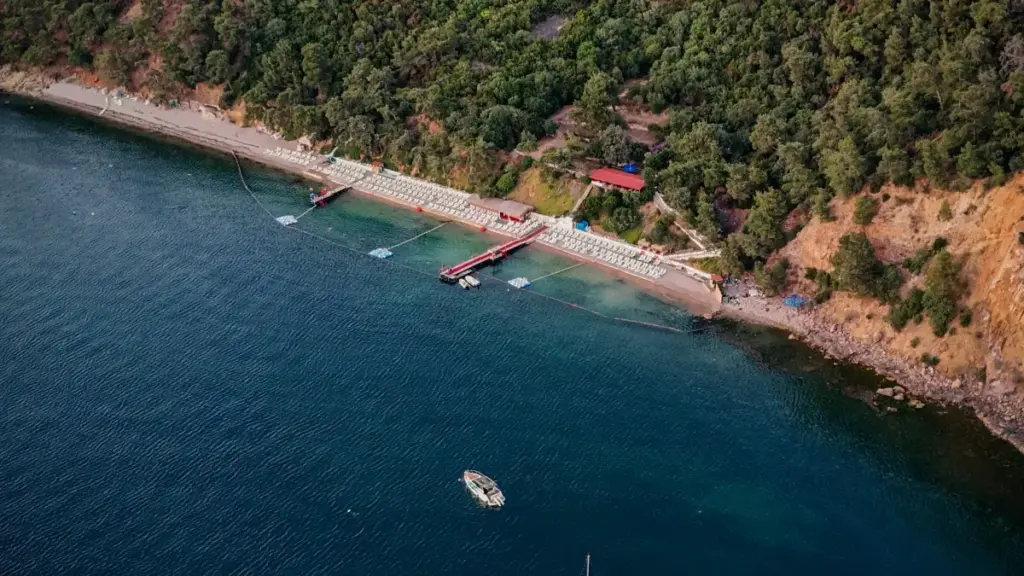 Kako iz Crne Gore pronaći Twitch kreatore iz Filipina za promociju online kurseva — praktičan vodič sa kanalima, pregovorima i taktikama za stvarne konverzije.