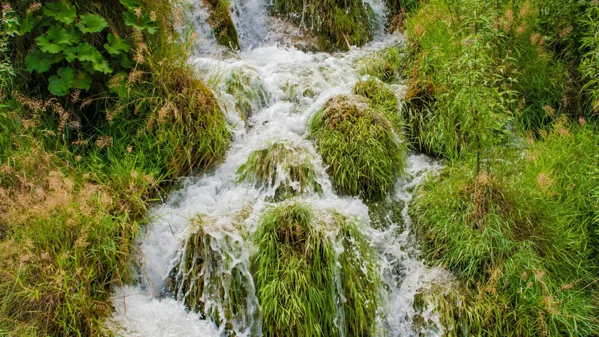 Kako do katarskih brendova na WeChat