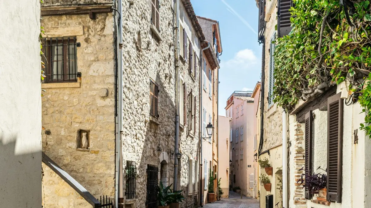 Montenegro creators: Land Cyprus Amazon deals fast