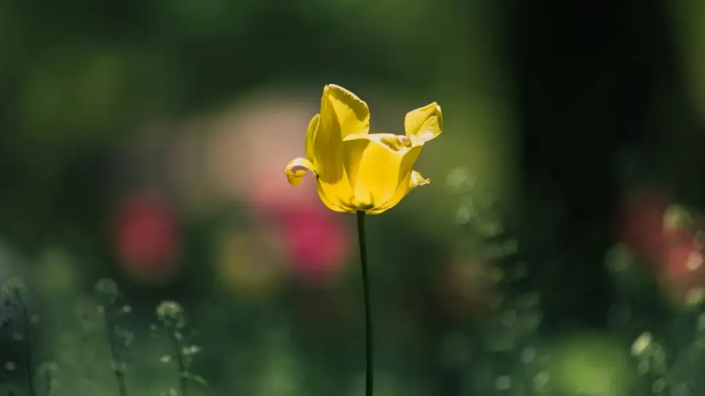 Praktičan vodič za oglašivače iz Crne Gore: kako identifikovati, kontaktirati i aktivirati Croatia OnlyFans kreatore za globalnu kampanju brenda.