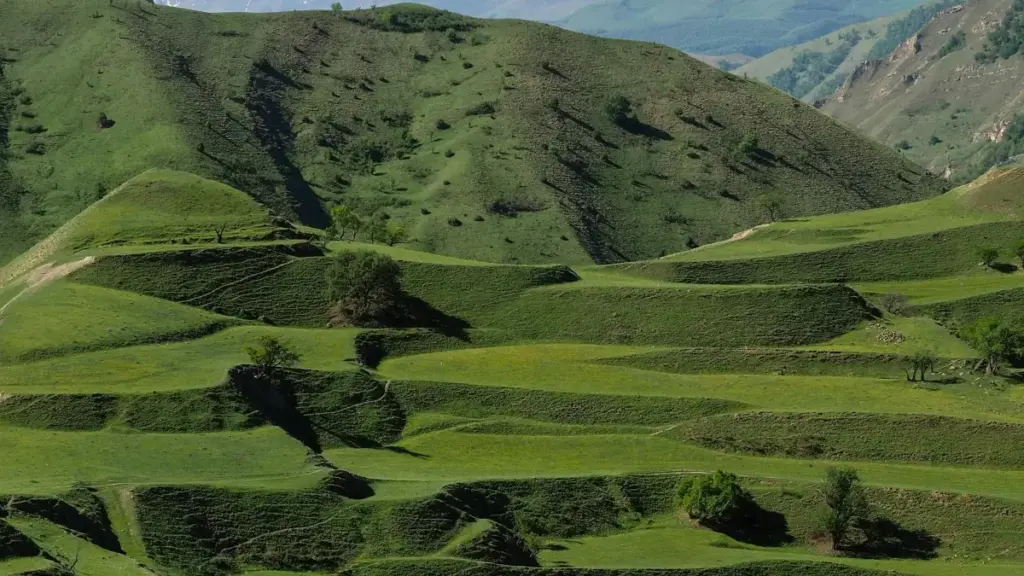 Praktičan vodič za oglašivače iz Crne Gore: kako locirati iranske SoundCloud kreatore, procijeniti angažman i pretvoriti fanove u leadove uz konkretne taktike.