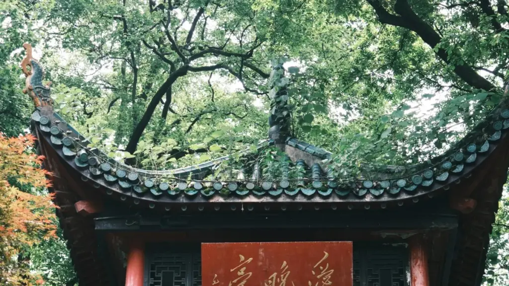 Praktčan vodič za oglašivače iz Crne Gore: kako identifikovati, angažovati i mjeriti slovenačke Roposo kreatore koji mogu voziti saobraćaj prema fitness aplikacijama.