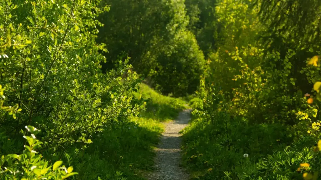 Praktičan vodič za oglašivače iz Crne Gore: kako identifikovati, kontaktirati i angažovati kreatore sa Reddita u SAD za kolaboracije na plesnim izazovima.