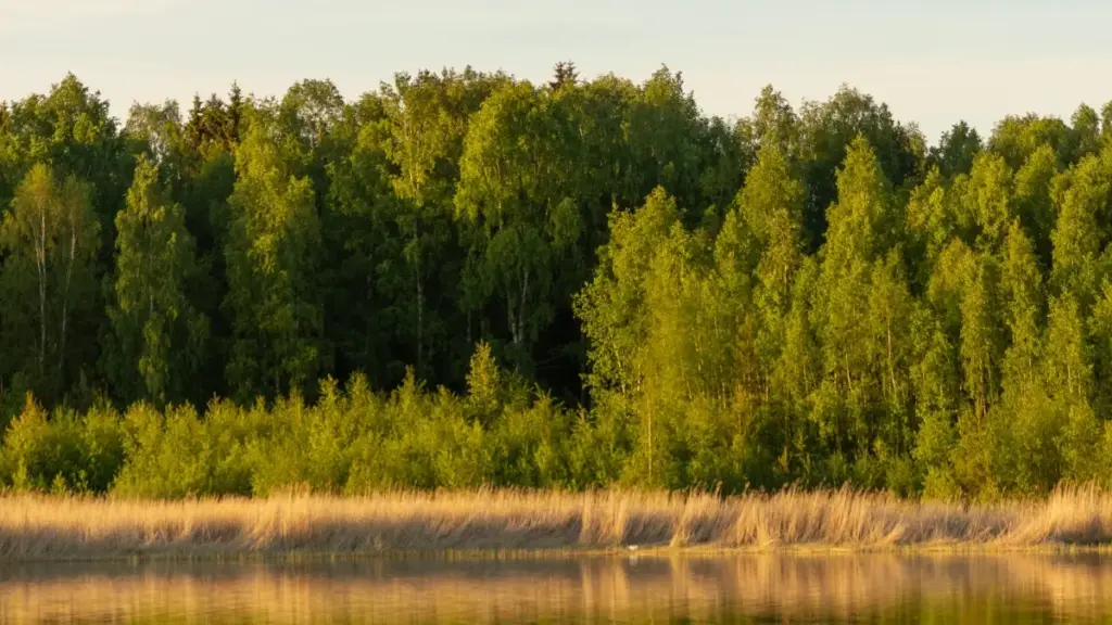 Praktičan vodič za crnogorske kreatore: kako naći, kontaktirati i snimiti unboxing i testimonial klipove za brendove iz Bosne i Hercegovine preko WhatsAppa.