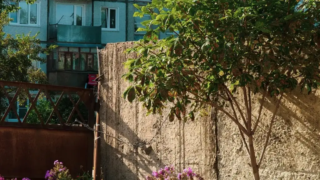 Praktičan vodič za crnogorske kreatore: kako pronaći i kontaktirati egipatske brendove na Apple Music da podelite before-and-after transformacije i sklopite saradnje.