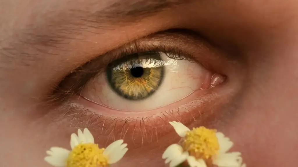 Praktičan vodič za crnogorske kreatore: kako pronaći i kontaktirati bolivijske brendove na Telegramu, pregovarati sadržaj za follow‑up i zadržati fanove — taktike, rizici i lokalne prilagodbe.