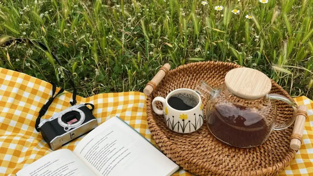 Praktičan vodič za oglašivače u Crnoj Gori: kako locirati, provere i pregovaranje sa Telegram kreatorima iz Austrije za zajedničke kampanje.