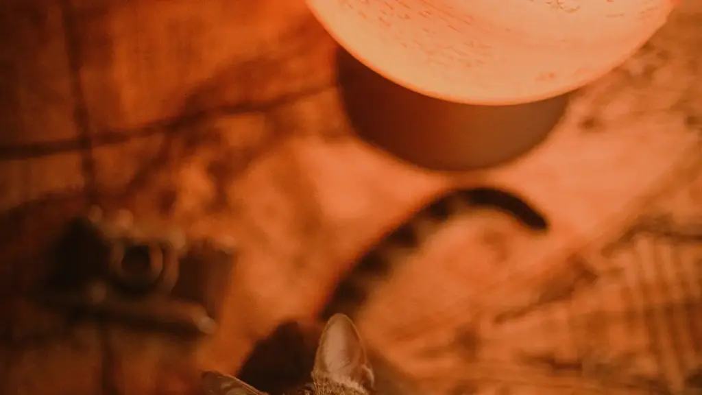 Praktičan vodič za marketare iz Crne Gore: kako locirati i angažovati kreatore iz Čilea koji prodaju na eBay‑u za testiranje novih proizvoda.