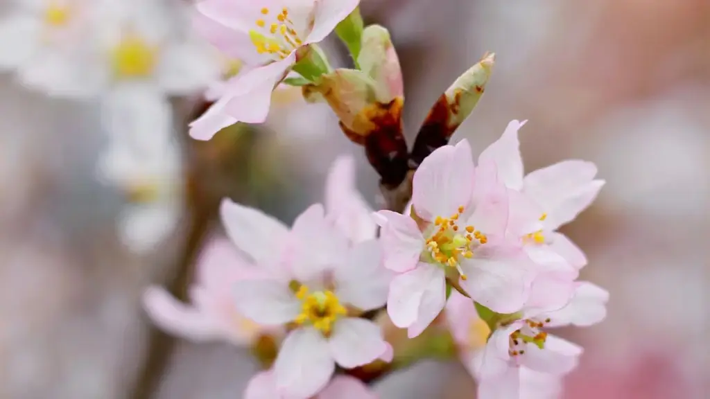 Praktičan vodič za brendove iz Crne Gore: kako identifikovati, analizirati i angažovati Serbia Moj kreatore za promociju modnih kolekcija.