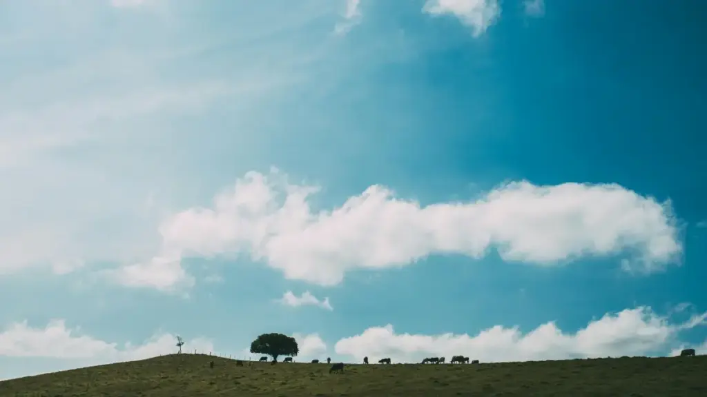 Praktičan vodič za kreatore iz Crne Gore: kako pronaći, kontaktirati i dogovoriti besplatne uzorke od holandskih brendova koje prodaju na Amazonu.