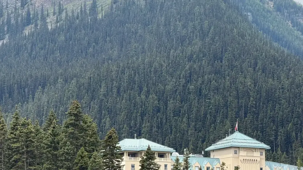 Praktičan vodič za kreatore iz Crne Gore: kako pristupiti UAE brendovima preko WeChat-a, šta im prezentovati i kako jasno istaknuti benefite proizvoda.