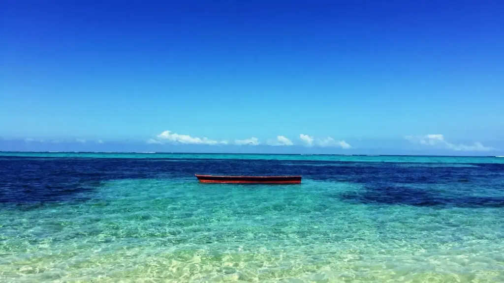 Praktičan vodič za kreatore iz Crne Gore: kako pristupiti južnokorejskim brendovima na Rumble, graditi poverenje kroz farmaceutske influensere i deliti zdrave navike pratiocima.