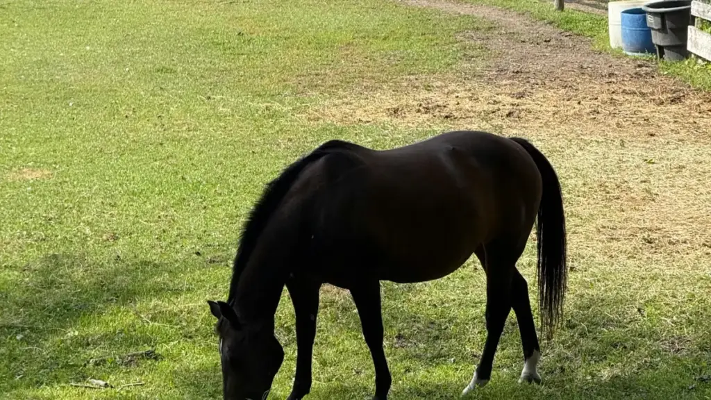 Praktičan vodič za oglašivače iz Crne Gore: kako ciljano pronaći, vrednovati i angažovati Pinterest kreatore iz Japana za jake sezonske kampanje i rasprodaje.