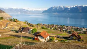 Praktičan vodič za oglašivače iz Crne Gore kako da identifikuju i angažuju Thailand Threads kreatore za globalni reach, uz realne troškove, performans modele i AI trikove.