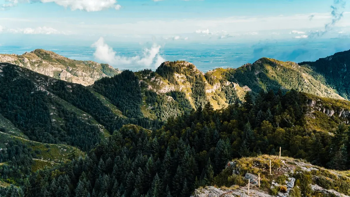 Kreatori CG: kako do islandski brendova na Shopee