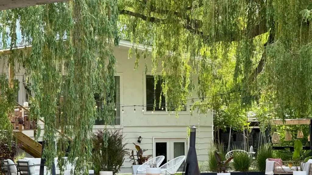 Praktičan vodič za kreatore iz Crne Gore: kako pronaći, kontaktirati i dogovoriti cross‑promocije s pakistanskim brendovima na TikToku — taktike, šabloni poruka i greške koje treba izbjegavati.