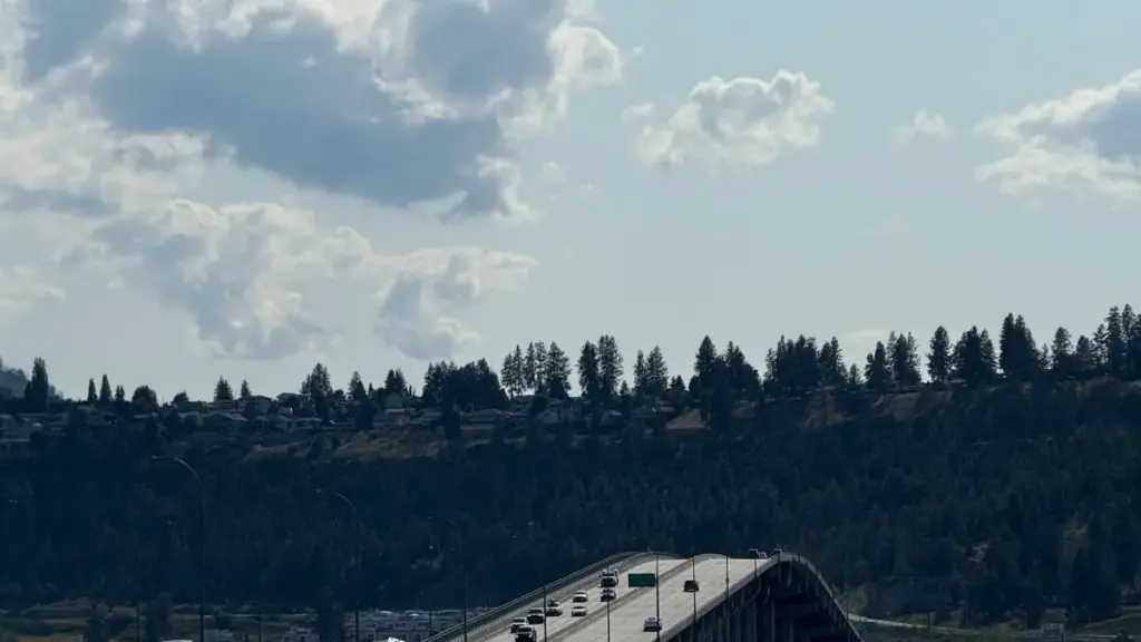 Praktičan vodič za marketare iz Crne Gore kako locirati i aktivirati Netflix-relevantne kreatore iz Južne Afrike za lansiranje beauty proizvoda i viralni buzz.