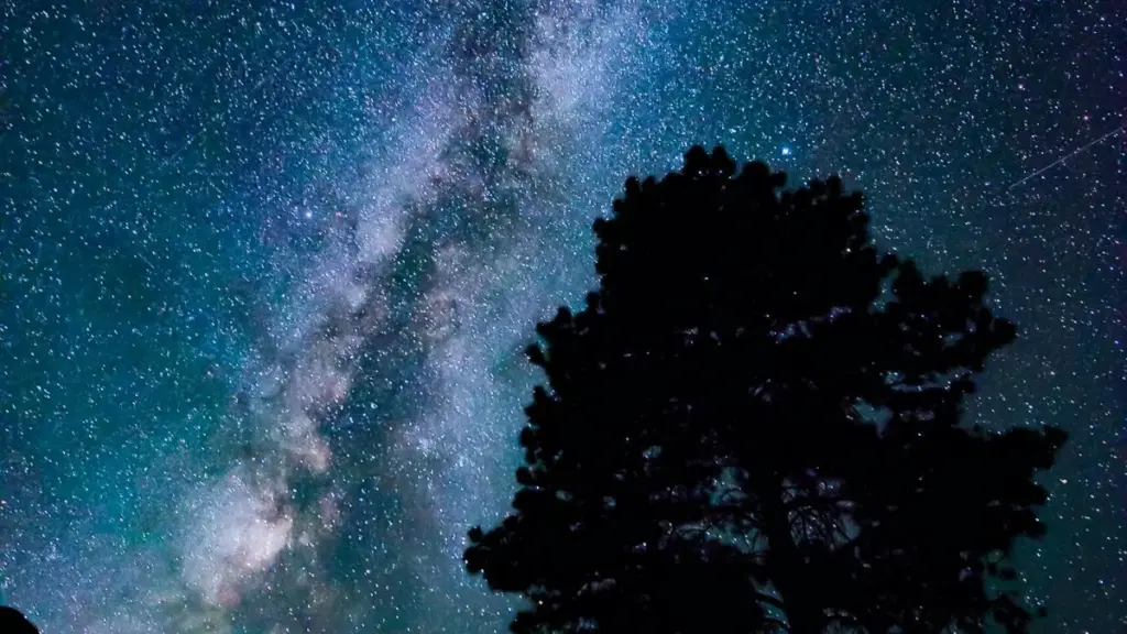 Praktičan vodič za kreatore iz Crne Gore: kako kontaktirati ecuador brendove na Amazonu, praviti planere putovanja i sklapati saradnje koje prodaju.