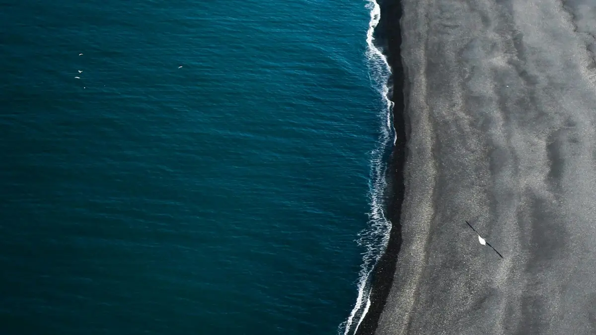 Kreatori: Kako doći do islandsih brendova preko WhatsApp-a?