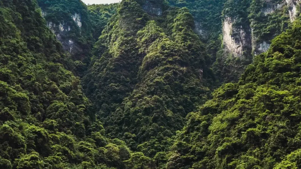 Praktičan vodič za oglašivače iz Crne Gore: kako identifikovati, kontaktirati i lansirati co-branded proizvode sa Viber kreatorima iz Dominikanske Republike.