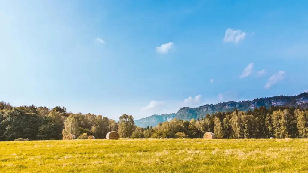 Praktičan vodič za marketere iz Crne Gore: kako otkriti i angažovati mađarske Pinterest kreatore za promociju novih modnih kolekcija, sa lokalnim taktikama i alatima.