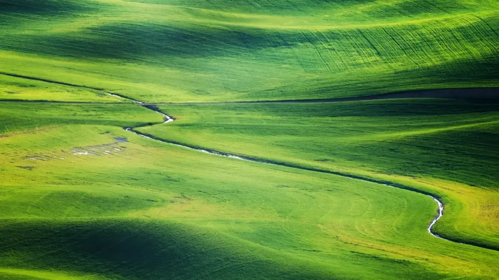 Praktičan vodič za marketare iz Crne Gore: kako pronaći i aktivirati indijske Discord kreatore za creator-driven product seeding, sa podacima i realnim taktikama.