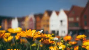 Praktičan vodič za crnogorske kreatore: kako dopreti do gruzijskih brendova na YouTube i sklopiti partnerstva sa game publisherima.